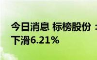 今日消息 标榜股份：上半年归母净利润同比下滑6.21%