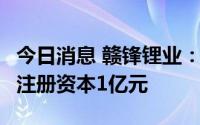 今日消息 赣锋锂业：投资成立动力科技公司，注册资本1亿元