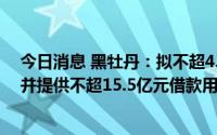 今日消息 黑牡丹：拟不超4.3亿元受让星辰置业15%股权，并提供不超15.5亿元借款用于项目地块开发运营