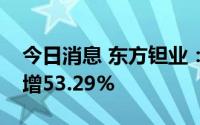 今日消息 东方钽业：上半年归母净利润同比增53.29%