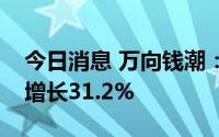 今日消息 万向钱潮：上半年归母净利润同比增长31.2%