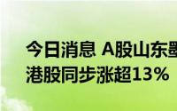 今日消息 A股山东墨龙午后直线拉升涨停，港股同步涨超13%