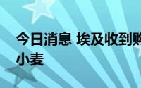 今日消息 埃及收到购自罗马尼亚的63000吨小麦