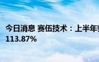 今日消息 赛伍技术：上半年归母净利润1.75亿元，同比上涨113.87%