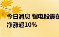 今日消息 锂电股震荡拉升，利元亨、天华超净涨超10%