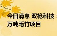今日消息 双枪科技：拟1亿元投建年加工20万吨毛竹项目