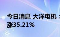 今日消息 大洋电机：上半年归母净利润同比涨35.21%