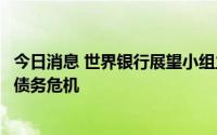 今日消息 世界银行展望小组主管担忧重复上世纪七八十年代债务危机