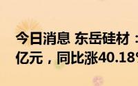 今日消息 东岳硅材：上半年归母净利润5.19亿元，同比涨40.18%