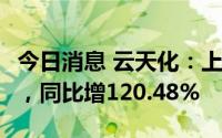 今日消息 云天化：上半年归母净利34.66亿元，同比增120.48%