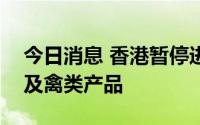 今日消息 香港暂停进口法国莫尔比昂省禽肉及禽类产品
