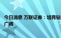 今日消息 万联证券：培育钻石闪耀新赛道，渗透率提升空间广阔