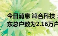 今日消息 鸿合科技：截至8月19日，公司股东总户数为2.16万户