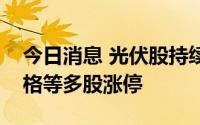 今日消息 光伏股持续走强，拓日新能、深赛格等多股涨停