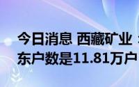 今日消息 西藏矿业：截至8月20日，公司股东户数是11.81万户