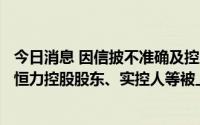 今日消息 因信披不准确及控股股东非经营性资金占用，新日恒力控股股东、实控人等被上交所予以监管警示