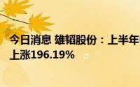 今日消息 雄韬股份：上半年归母净利润7484.66万元，同比上涨196.19%