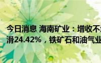 今日消息 海南矿业：增收不增利，上半年归母净利润同比下滑24.42%，铁矿石和油气业务产量均稳定在较高水平