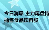 今日消息 主力尾盘持续净流入电力设备板块，抛售食品饮料股