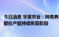 今日消息 华英农业：种禽养殖、孵化、商品鸭养殖及屠宰等都处产能持续恢复阶段