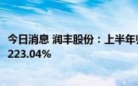 今日消息 润丰股份：上半年归母净利润8.88亿元，同比增长223.04%
