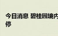 今日消息 碧桂园境内债“21碧地02”盘中临停