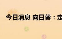 今日消息 向日葵：定增申请获深交所受理