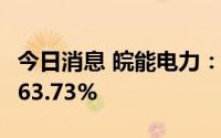 今日消息 皖能电力：上半年归母净利同比增163.73%