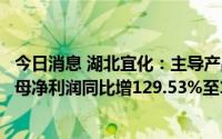 今日消息 湖北宜化：主导产品价格同比涨幅较大，上半年归母净利润同比增129.53%至16.65亿元，