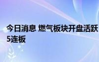 今日消息 燃气板块开盘活跃，德龙汇能竞价一字涨停，收获5连板