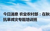 今日消息 农业农村部：在秋粮生产集中地区，尽快组织开设抗旱减灾专题培训班