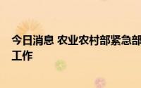 今日消息 农业农村部紧急部署今年第9号台风“马鞍”防御工作