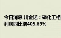 今日消息 川金诺：磷化工相关产品价格上涨，上半年归母净利润同比增405.69%