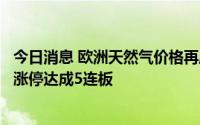 今日消息 欧洲天然气价格再度飙升刷新纪录，德龙汇能一字涨停达成5连板