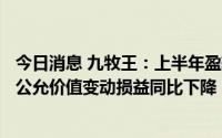 今日消息 九牧王：上半年盈转亏至5999.36万元，投资业务公允价值变动损益同比下降