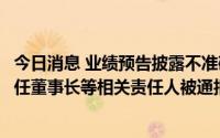 今日消息 业绩预告披露不准确及更正不及时，迪马股份及时任董事长等相关责任人被通报批评