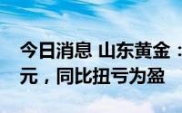 今日消息 山东黄金：上半年归母净利5.56亿元，同比扭亏为盈