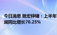 今日消息 驰宏锌锗：上半年营收同比增长3.73%，归母净利润同比增长70.25%