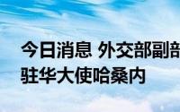 今日消息 外交部副部长邓励会见叙利亚新任驻华大使哈桑内