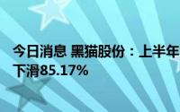 今日消息 黑猫股份：上半年归母净利润6821.58万元，同比下滑85.17%