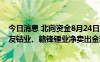 今日消息 北向资金8月24日净卖出66.15亿元，比亚迪、华友钴业、赣锋锂业净卖出金额居前