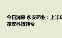 今日消息 永安药业：上半年归母净利润同比增146.88%，凌安科技转亏
