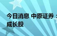 今日消息 中原证券：关注基本面向好的小盘成长股