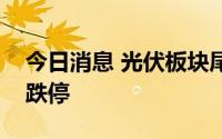 今日消息 光伏板块尾盘加速下行，金辰股份跌停