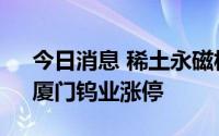 今日消息 稀土永磁板块持续拉升，京运通、厦门钨业涨停