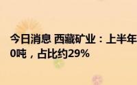 今日消息 西藏矿业：上半年向宁德时代供货锂精矿产品2000吨，占比约29%