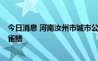 今日消息 河南汝州市城市公园“怪鱼”已被抓获，系2条鳄雀鳝