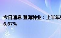 今日消息 登海种业：上半年归母净利润1.12亿元，同比增长6.67%