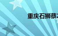 重庆石狮蔡2星丁一全保