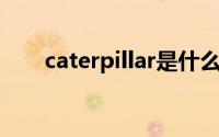 caterpillar是什么意思英语怎么读音